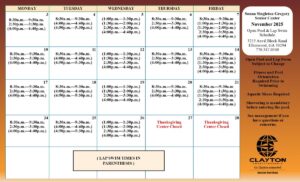 Sonna Singleton Nov. 2024 Pool hours Calendar