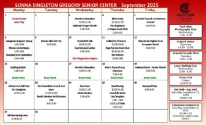 Sonna Singleton Nov. 2024 Activity Center Calendar